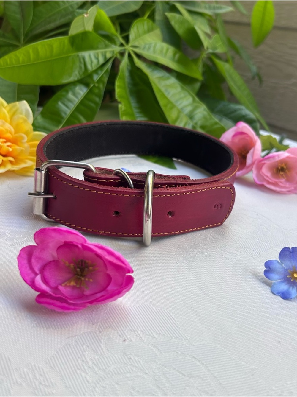 Classic Leather Dog Collar Red Burgundy Adjustable 15-21” handcrafted M/L Dog